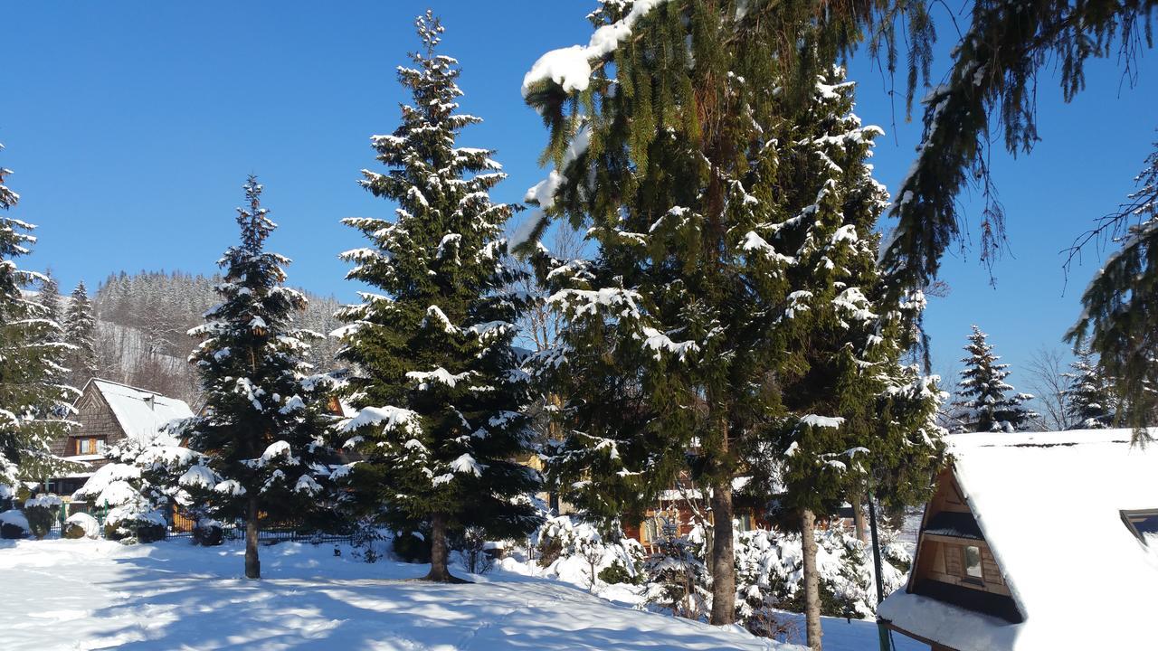 Camping Harenda Pokoje Goscinne I Domki Zakopane Luaran gambar