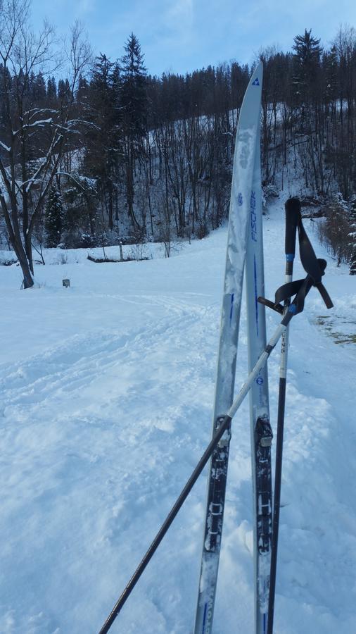 Camping Harenda Pokoje Goscinne I Domki Zakopane Luaran gambar