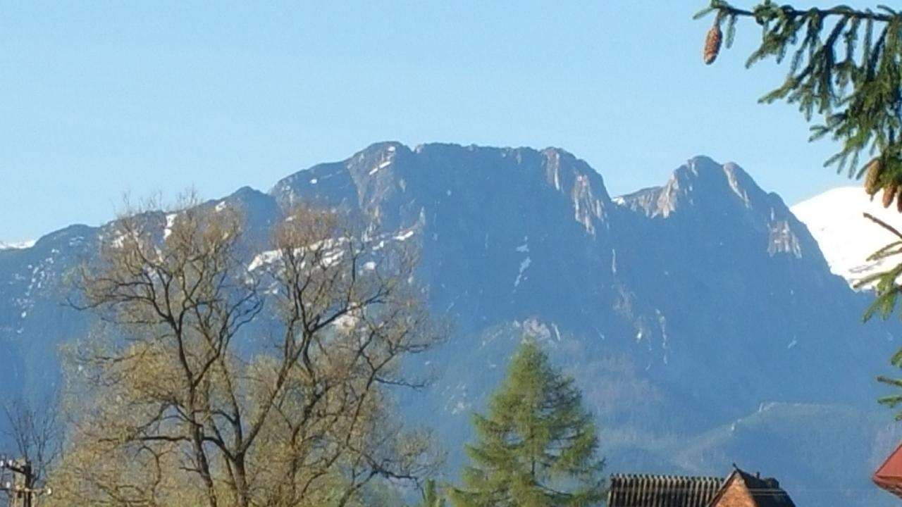 Camping Harenda Pokoje Goscinne I Domki Zakopane Luaran gambar