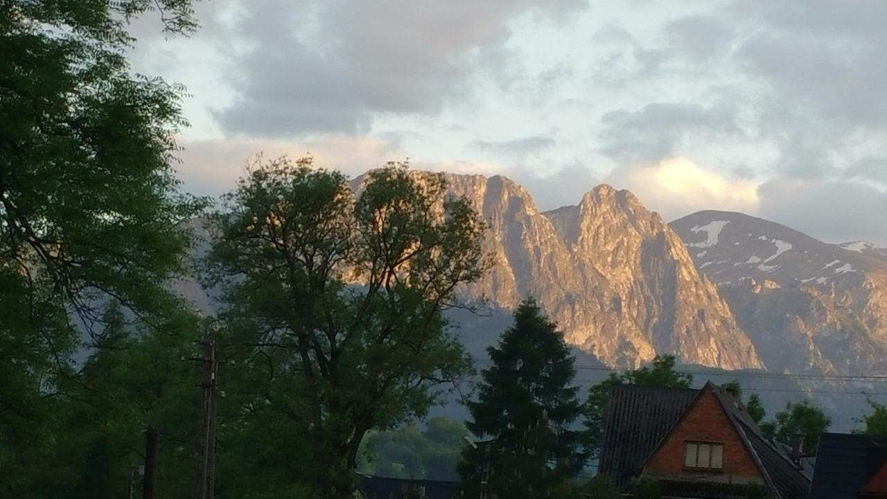 Camping Harenda Pokoje Goscinne I Domki Zakopane Luaran gambar